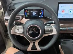 BYD Seagull Glory Edition 305km Freedom Version - ფოტო 10