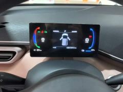 BYD Seagull Glory Edition 305km Freedom Version - ფოტო 11