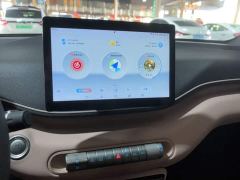 BYD Seagull Glory Edition 305km Freedom Version - ფოტო 12