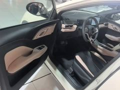 BYD Seagull Glory Edition 305km Freedom Version - ფოტო 14