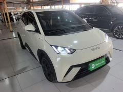 BYD Seagull Glory Edition 305km Freedom Version - ფოტო 3