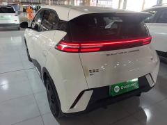 BYD Seagull Glory Edition 305km Freedom Version - ფოტო 4