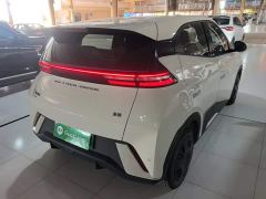 BYD Seagull Glory Edition 305km Freedom Version - ფოტო 6