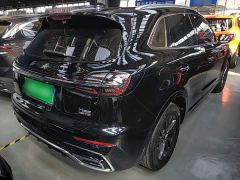Hongqi HS5 2.0T Flagship Enjoy Pro - photo 6
