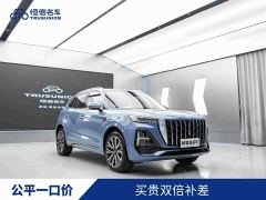 Hongqi HS5 2.0T AWD Flagship Pro - photo 1