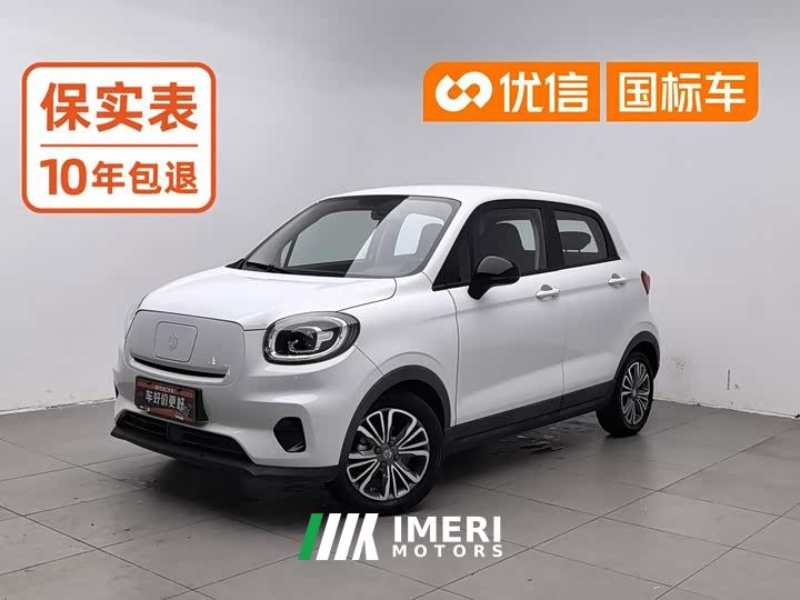 Leapmotor T03 400 Lite Enjoy Edition Ternary Lithium - car from China