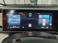 Geely ICON 1.5T Chocolate Chip - ფოტო 20