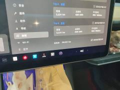 Tesla Model Y Standard Range RWD - photo 4