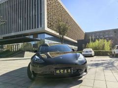 Tesla Model 3 Rear-Wheel Drive - ფოტო 2