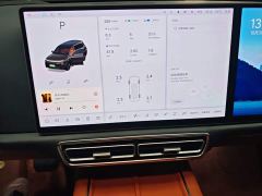 Li Auto L9 Pro - ფოტო 11