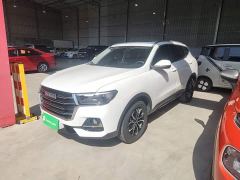 Haval H6 National Trend Edition 1.5T Automatic Urban Version - ფოტო 1