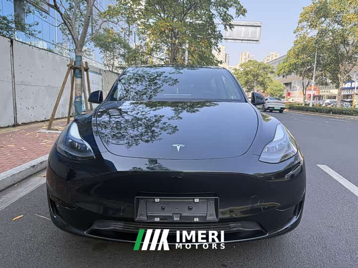 Tesla Model Y Rear-Wheel Drive - автомобиль из Китая