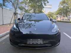 Tesla Model Y Rear-Wheel Drive - фото 1