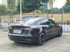 Tesla Model 3 Rear-Wheel Drive - ფოტო 18