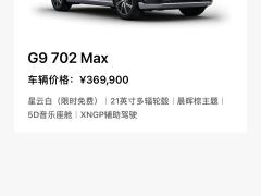 Xpeng G9 702 Max - фото 9