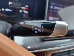 Neta L Extended Range 310 Fast Charge Red Edition - фото 13