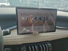 BYD Yuan Plus Glory Edition 430KM Transcend - ფოტო 12