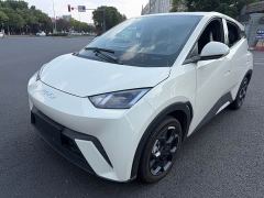 BYD Seagull Glory Edition 405km Flying Edition - ფოტო 1