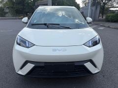 BYD Seagull Glory Edition 405km Flying Edition - ფოტო 2