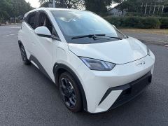 BYD Seagull Glory Edition 405km Flying Edition - ფოტო 3