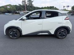 BYD Seagull Glory Edition 405km Flying Edition - ფოტო 7