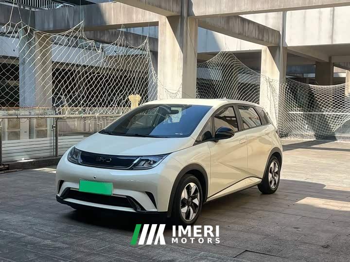 BYD Dolphin 420km Freedom Edition - ავტომობილი ჩინეთიდან