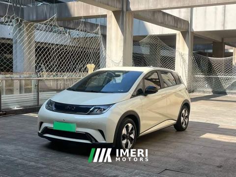 2024 BYD Dolphin 420km Freedom Edition
