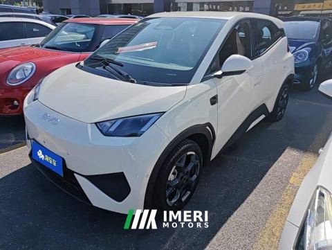 2025 BYD Seagull Smart Driving Edition 305km Freedom Edition - ავტომობილი ჩინეთიდან