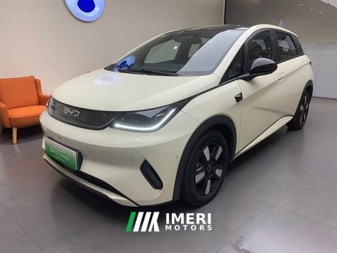 2025 BYD Dolphin Smart Drive 410km Fashion Edition - ავტომობილი ჩინეთიდან