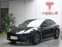 Tesla Model 3 Rear-Wheel Drive - ფოტო 1