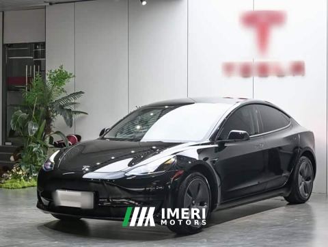2022 Tesla Model 3 Rear-Wheel Drive
