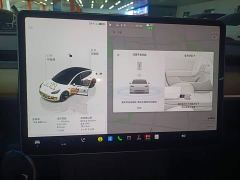 Tesla Model 3 Rear-Wheel Drive - ფოტო 11