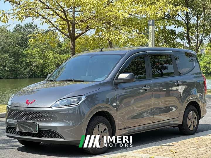 Wuling Hongguang New Energy Extended-Range Hybrid 50KM Comfort