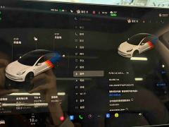 Tesla Model 3 Rear-Wheel Drive - ფოტო 10