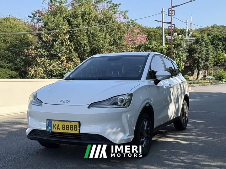 Neta V Trend 300 Lite Ternary Lithium - car from China