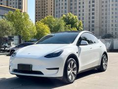 Tesla Model Y Rear-Wheel Drive - photo 1