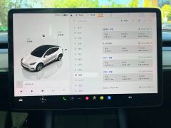 Tesla Model Y Rear-Wheel Drive - photo 11