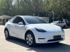 Tesla Model Y Rear-Wheel Drive - photo 3
