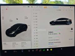 Tesla Model 3 Rear-Wheel Drive - ფოტო 16