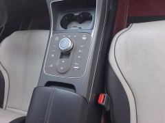 BYD Destroyer 05 Glory Edition DM-i 55KM Luxury - ფოტო 16