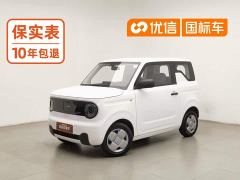 Geely Panda Mini 200km Endurance Edition - ფოტო 1