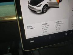 Tesla Model Y Standard Range RWD - ფოტო 11