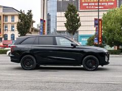 WEY Lam San Edition 1.5T 221km AWDMax - photo 4