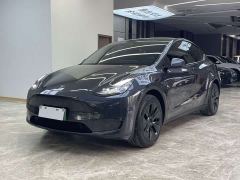 Tesla Model Y Long Range All-Wheel Drive - ფოტო 1