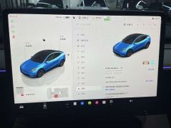 Tesla Model Y Long Range All-Wheel Drive - ფოტო 17