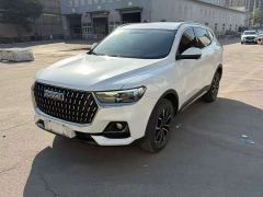 Haval H6 National Trend Edition 1.5T Automatic Champion Version - photo 1