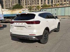 Haval H6 National Trend Edition 1.5T Automatic Champion Version - photo 8