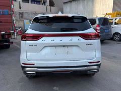 Haval H6 National Trend Edition 1.5T Automatic Champion Version - photo 9