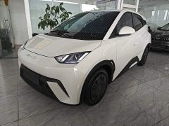 BYD Seagull Glory Edition 305km Freedom Version - ფოტო 1