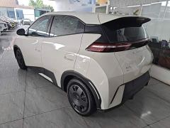 BYD Seagull Glory Edition 305km Freedom Version - ფოტო 4